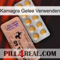 Kamagra Jelly Use 41